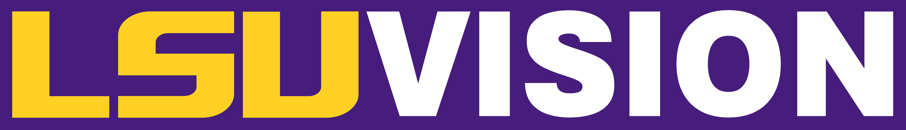 LSU Vision