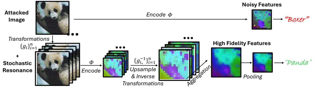 Stochastic resonance pipeline aligning and aggregating transformed features to correctly classify an attacked panda image